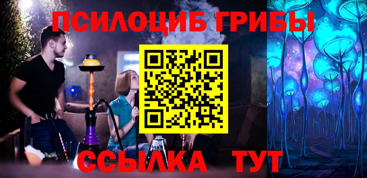 Элиста  Галлюциногенные грибы мицелий  Галлюциногенные грибы Magic Shrooms  Вход с VPN 
